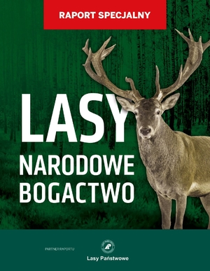 Raport: Lasy narodowe bogactwo