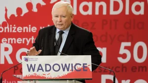 Miniatura: Sondaż: PiS z dużą przewagą, Konfederacja...