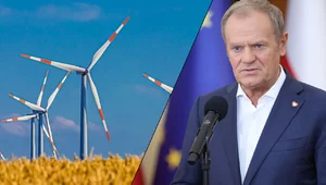 Miniatura: Niezłomny apostoł wiatraków