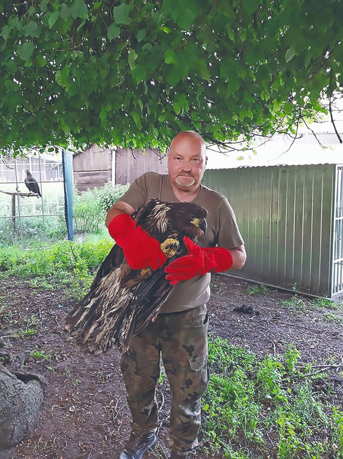 Ośrodek Rehabilitacji Zwierząt w&nbsp;Kole przy Nadleśnictwie Piotrk&oacute;w