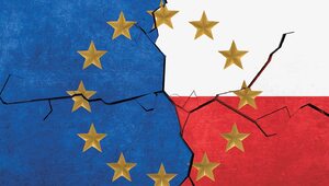 Miniatura: Liberalny protekcjonizm Europy