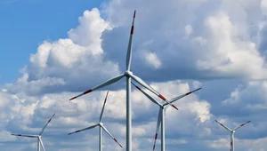 Miniatura: Fiasko COP 30 i szansa na przechytrzenie...