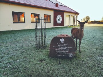 Ośrodek Rehabilitacji Zwierząt w&nbsp;Kole