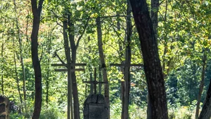 Miniatura: Ukraina daje zielone światło. Nowy etap...