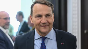 Miniatura: Sikorski: Jeśli to zrobimy, to wystarczy...