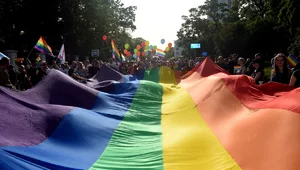 Miniatura: Homofobia i nienawiść Polaków....