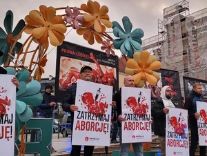 Miniatura: Polska nie chce aborcji! Krajobraz po...