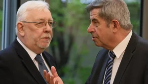 Miniatura: Prawo szuriatu