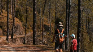 Miniatura: Polacy wobec rodziny i dzieci. Ciekawe...