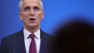 Miniatura: Stoltenberg: Nie realizujemy tego, co...