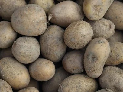 Miniatura: "Trzecia wojna ziemniaczana". Problemy na...