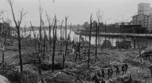 Miniatura: Westerplatte walczy!