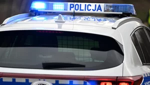 Miniatura: Gdańsk: W centrum miasta znaleziono...