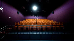 Miniatura: Rewolucja bez końca