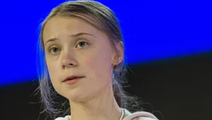 Miniatura: Deportacja Grety Thunberg. W Izraelu miała...