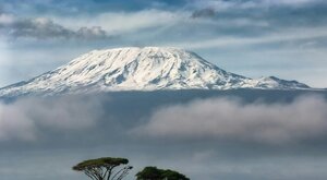 Miniatura: Katastrofa na najwyższym szczycie Afryki....