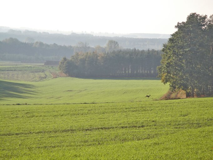 Wielkopolski Park Narodowy