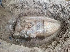 Miniatura: Kolosalny posąg Ramzesa II znaleziony na polu