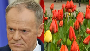 Miniatura: Donald Tusk chciał uczcić Dzień Kobiet....