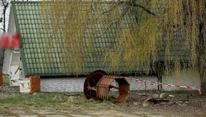 Miniatura: W Bielowicku znaleziono zakopane zwłoki....