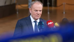 Miniatura: Sprzeciw wobec Mercosur realny czy...