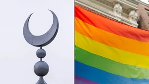 Miniatura: Rola lewicy w islamizacji Niemiec....