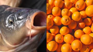 Miniatura: Ależ spadek cen w komunikacie TVP. "Statek...