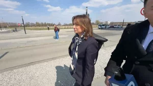 Miniatura: "Proszę mnie nie bić", "jest pan ohydny"....