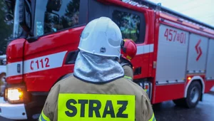 Miniatura: Prawdziwa plaga. Kolejny pożar w Polsce