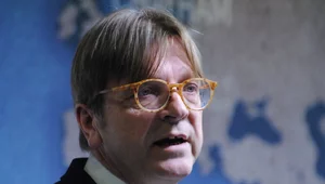 Miniatura: Verhofstadt pod wrażeniem marszu Tuska....