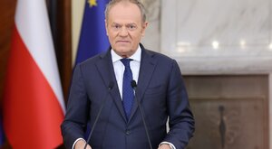 Miniatura: Świnka morska