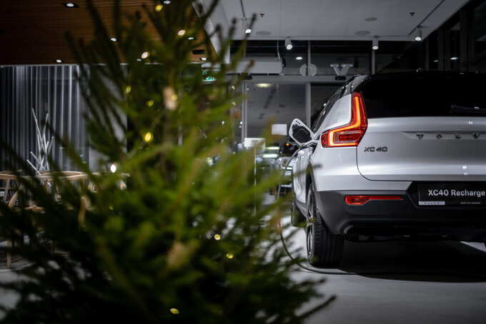 Wypożyczalnia Choinek Volvo