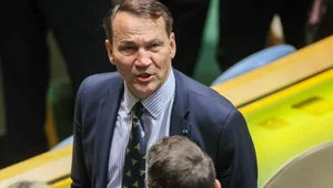 Miniatura: Kellogg i Stubb o Sikorskim. Uchwycono...