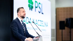 Miniatura: Kosiniak-Kamysz: Bez PSL nie ma tego rządu