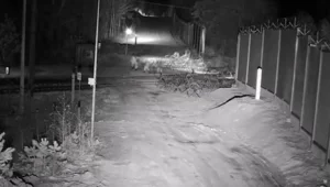 Miniatura: "Nowy element". Migranci na granicy...