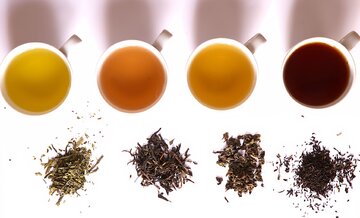 Herbata: zielona, ​​ż&oacute;łta, oolong i&nbsp;czarna