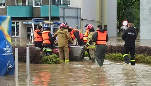 Miniatura: Pomoc dla powodzian. Zaskakujące dane MSWiA