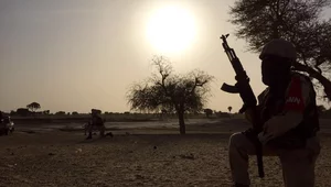 Miniatura: "Sytuacja jest straszna". Tak cierpią...