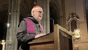 Miniatura: Szwecja się nawraca? Kard. Arborelius: Ma...