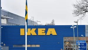 Miniatura: Fala zwolnień w IKEI. Tyle osób może...