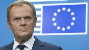 Miniatura: Kto szefem Platformy po Schetynie? Wcale...