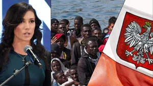 Miniatura: Polska a pakt migracyjny....