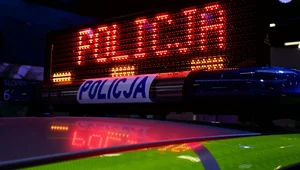 Miniatura: Tak działa mafia cyberprzestępców...