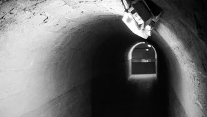 Miniatura: Rosyjskie drony nad Polską. Efekty widać w...