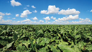 Miniatura: Rolnictwo i produkcja: dla dobra ludzi i...