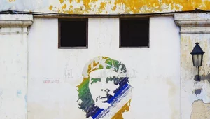 Miniatura: Przypadkowo wykonane zdjęcie zrobiło ze...