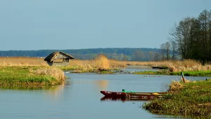 Miniatura: "Polska Amazonka". Fascynująca dolina Narwi