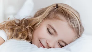 Miniatura: Producent materaców i łóżek z prawie...