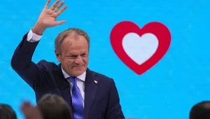 Miniatura: Lisicki: KO zamiast PO. Ziemkiewicz: Stare...