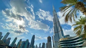 Miniatura: Niedźwiedź na giełdzie. Co się dzieje w...